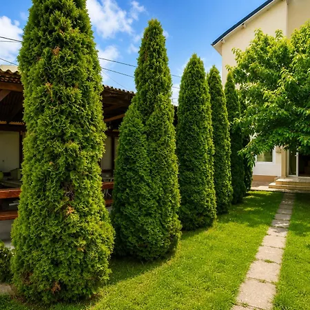 Dumi 3* Costinesti